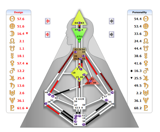 人體圖通道示意圖
